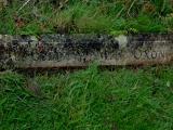 image of grave number 547097